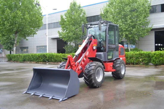 Haiqintop Brand New (HQ280) with CE Approvel Mini Loader